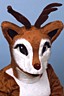 Rudolph the Red-Nosed Reindeer