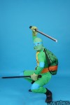 brianturtlebody2.jpg