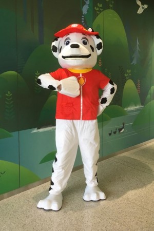 Paw Patrol - Marshall