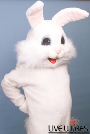 Easter Bunny