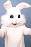 Easter Bunny
