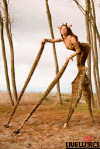 janetgiraffebody.gif