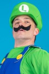 luigihead.jpg