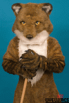 mattfoxbody1.gif