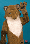 mattfoxbody2.gif