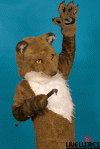 mattfoxbody3.gif