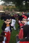 mice-cityofbellevue-7-4-16.jpg