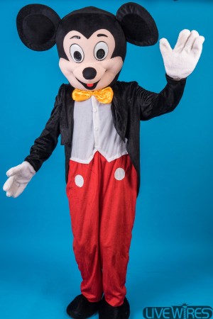 Mr. Mouse
