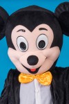 mickeyhead.jpg