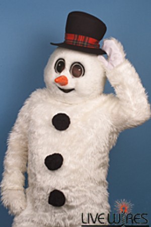 Winter Willie
